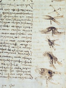 Diagramas científicos, del Códice Leicester, 1508-12 (detalle)